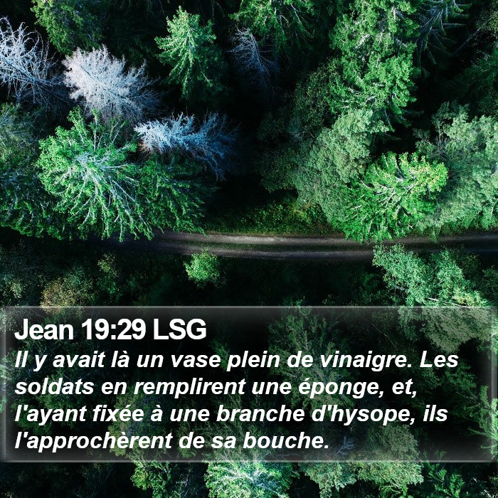 Jean 19:29 LSG Bible Study