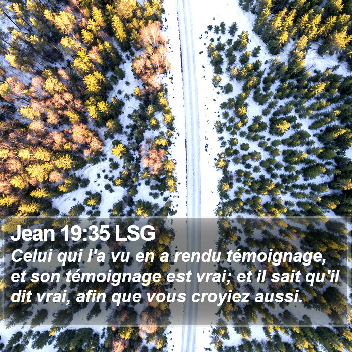 Jean 19:35 LSG Bible Study