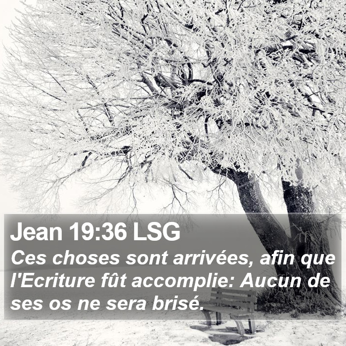 Jean 19:36 LSG Bible Study