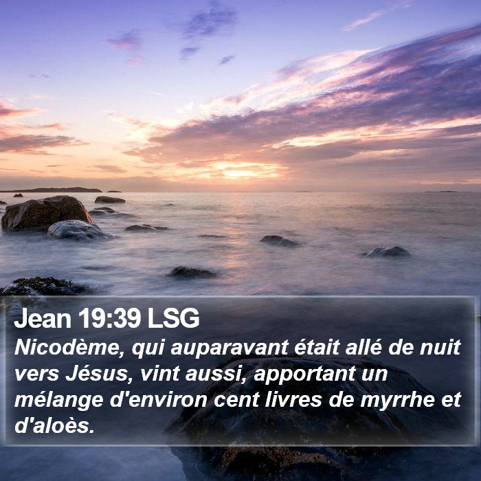 Jean 19:39 LSG Bible Study