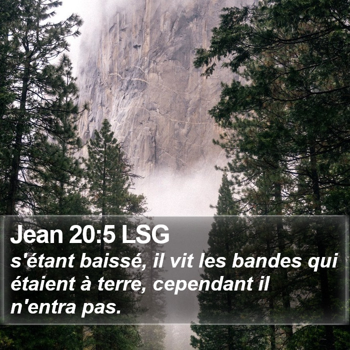 Jean 20:5 LSG Bible Study