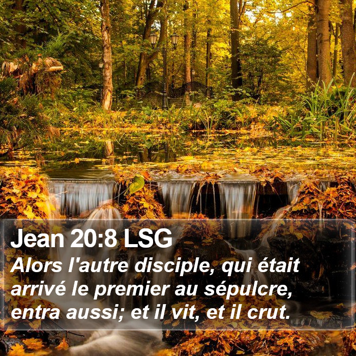 Jean 20:8 LSG Bible Study