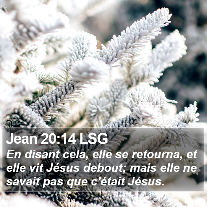 Jean 20:14 LSG Bible Study