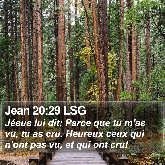 Jean 20:29 LSG Bible Study