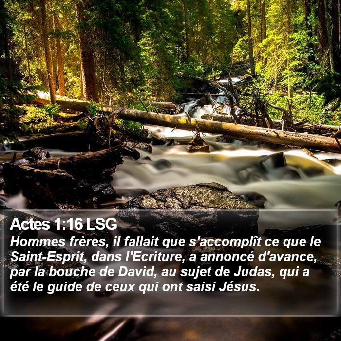 Actes 1:16 LSG Bible Study