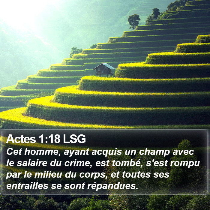 Actes 1:18 LSG Bible Study