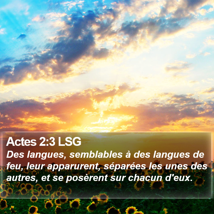 Actes 2:3 LSG Bible Study