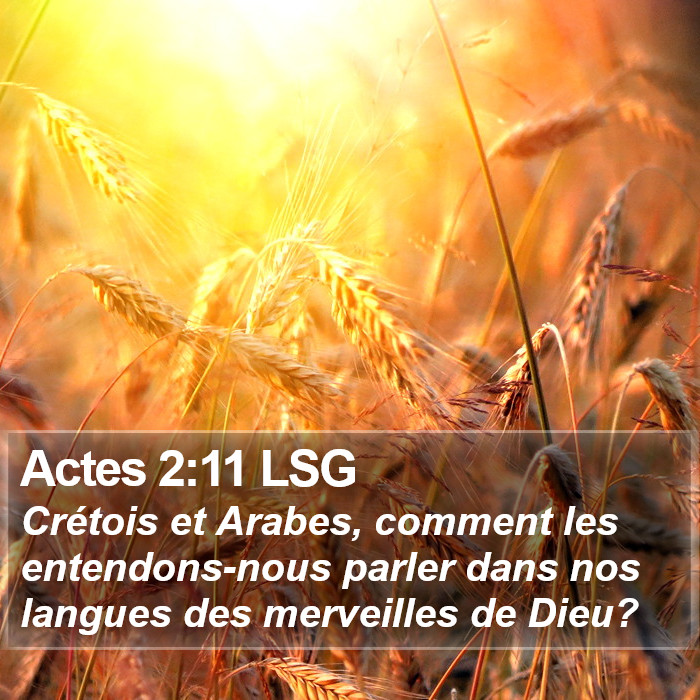 Actes 2:11 LSG Bible Study