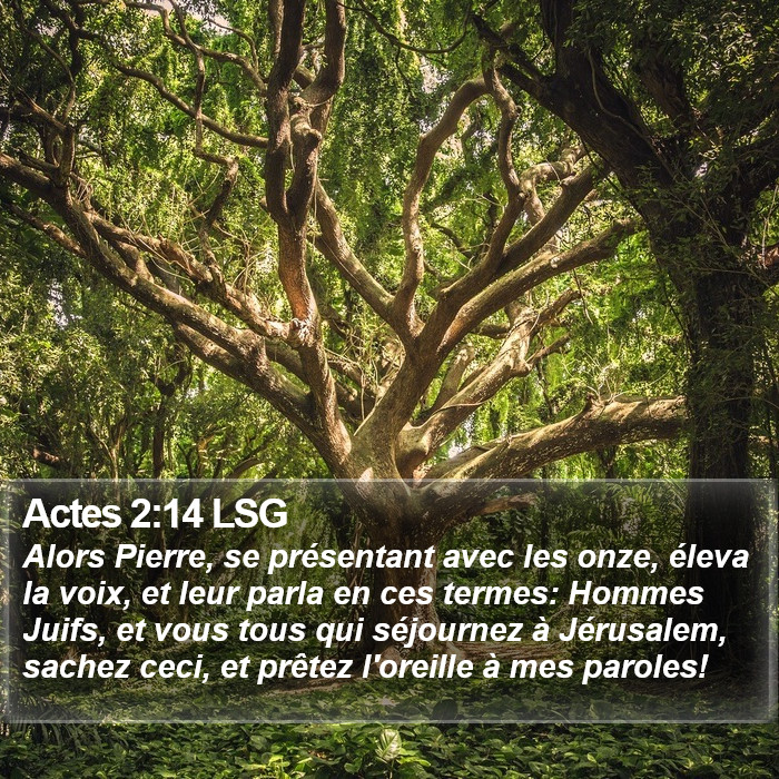 Actes 2:14 LSG Bible Study