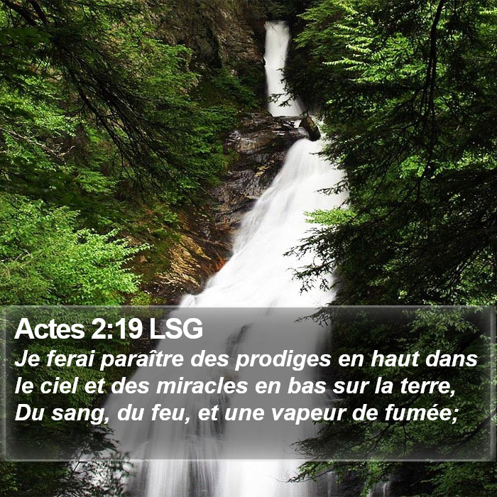 Actes 2:19 LSG Bible Study