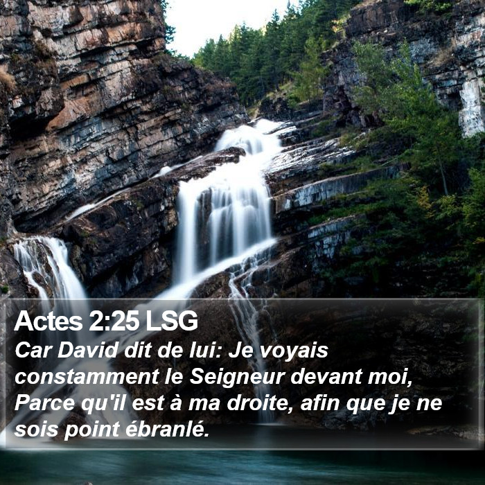 Actes 2:25 LSG Bible Study