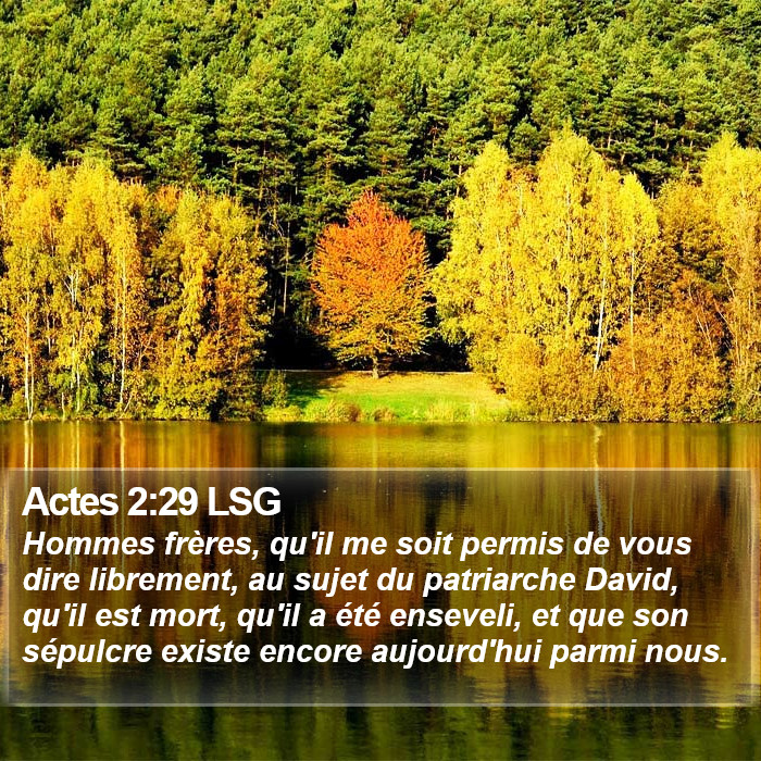 Actes 2:29 LSG Bible Study