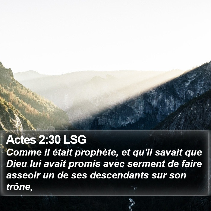 Actes 2:30 LSG Bible Study