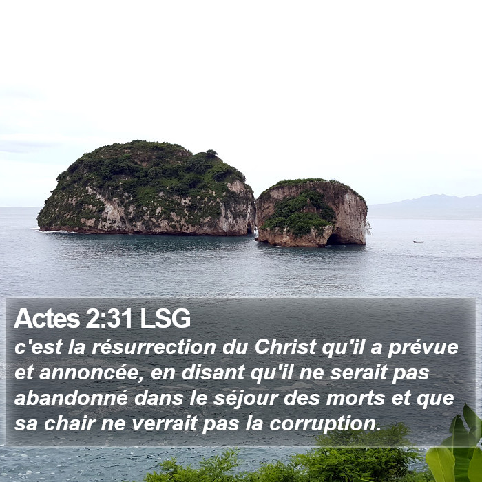 Actes 2:31 LSG Bible Study