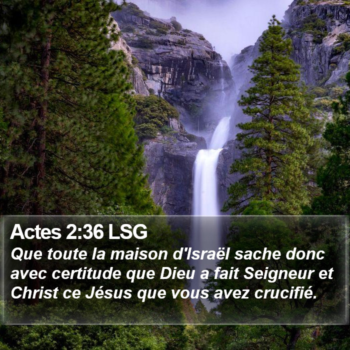 Actes 2:36 LSG Bible Study