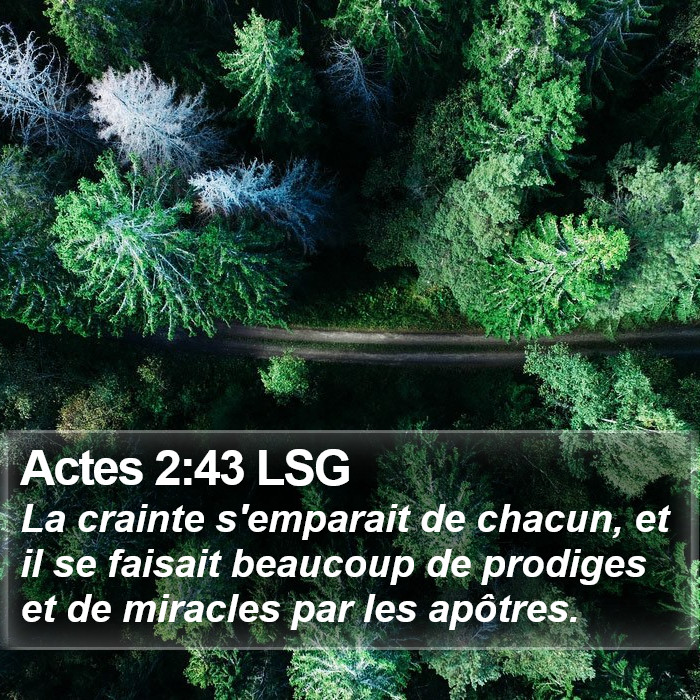 Actes 2:43 LSG Bible Study