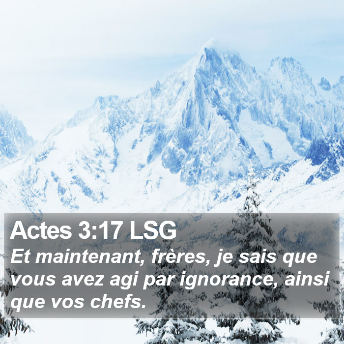 Actes 3:17 LSG Bible Study