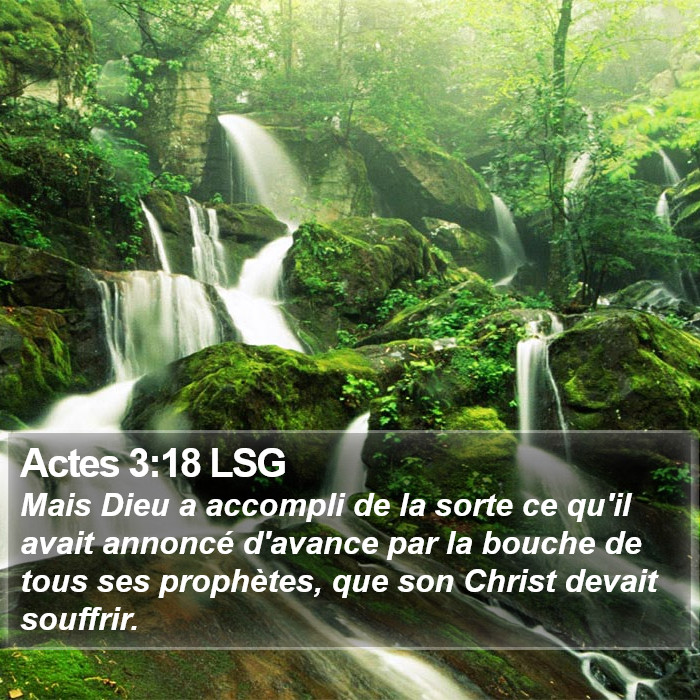 Actes 3:18 LSG Bible Study