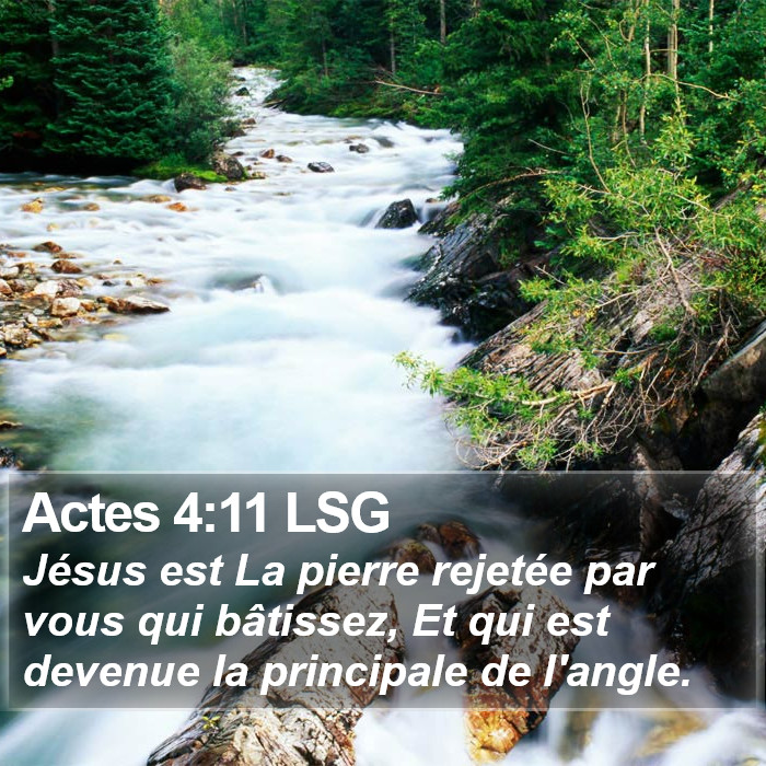 Actes 4:11 LSG Bible Study