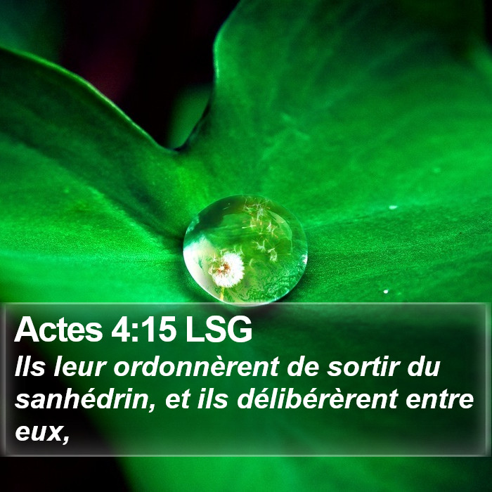 Actes 4:15 LSG Bible Study