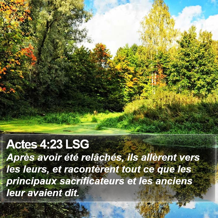 Actes 4:23 LSG Bible Study