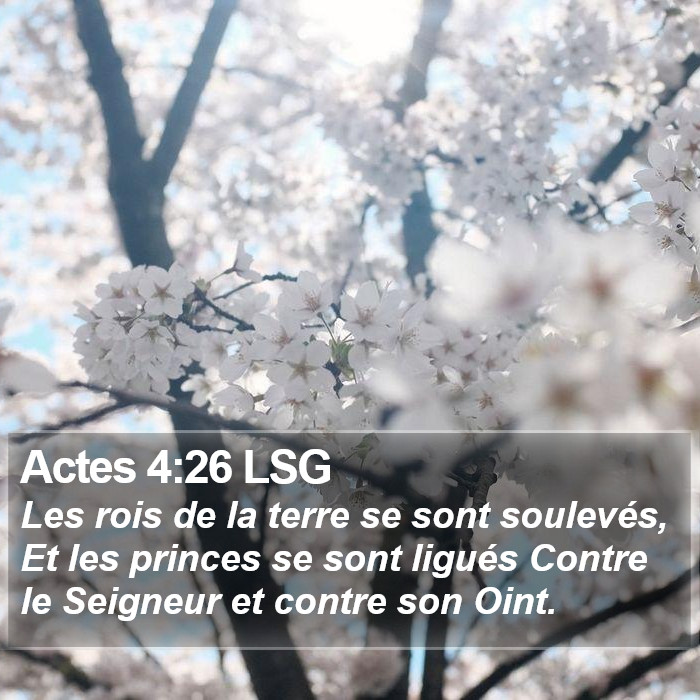 Actes 4:26 LSG Bible Study