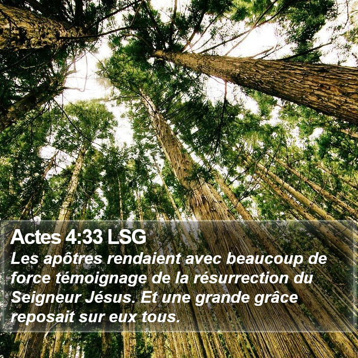 Actes 4:33 LSG Bible Study