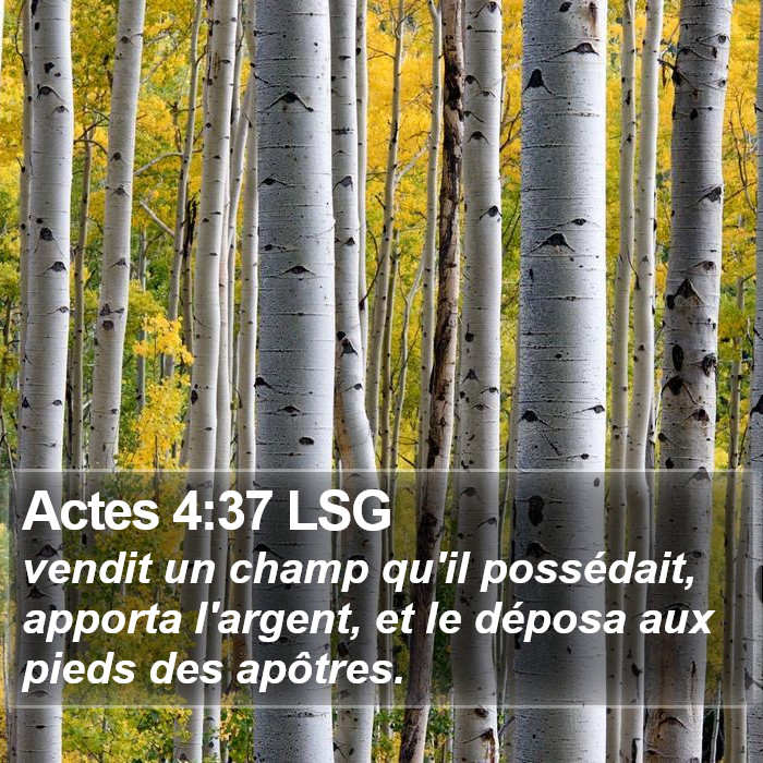 Actes 4:37 LSG Bible Study