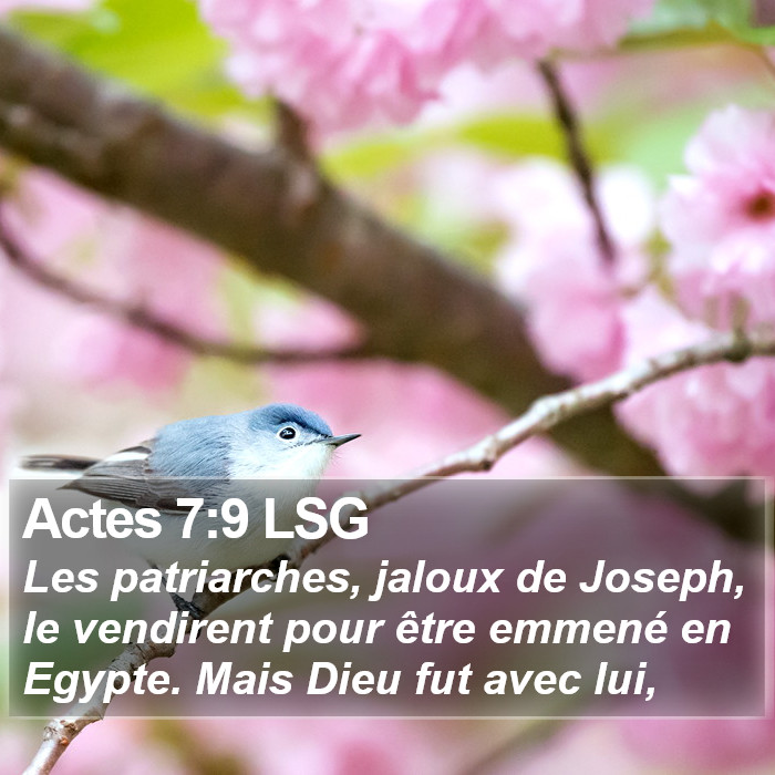 Actes 7:9 LSG Bible Study