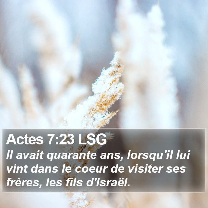 Actes 7:23 LSG Bible Study