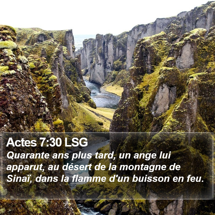 Actes 7:30 LSG Bible Study