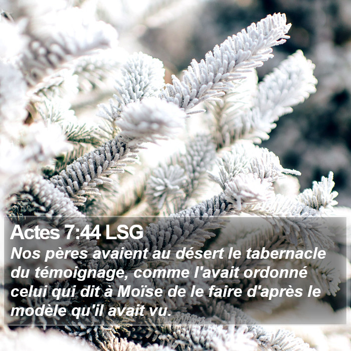 Actes 7:44 LSG Bible Study