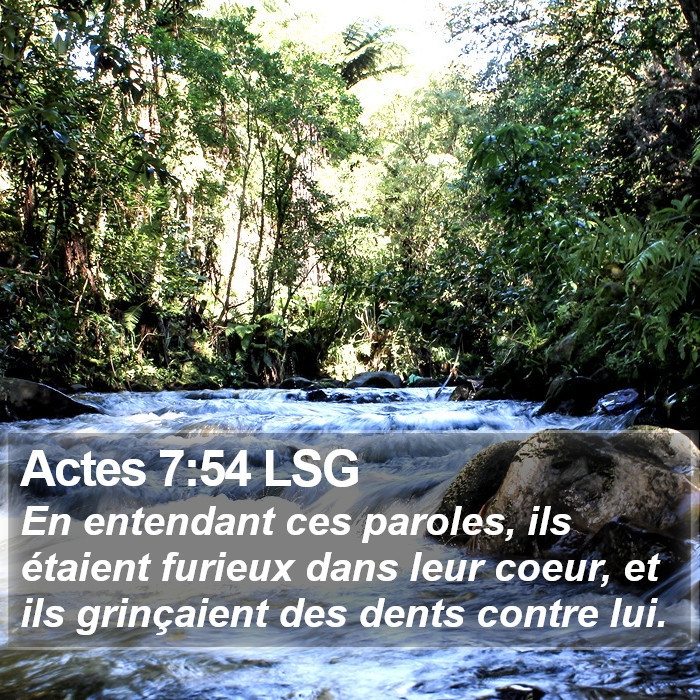 Actes 7:54 LSG Bible Study