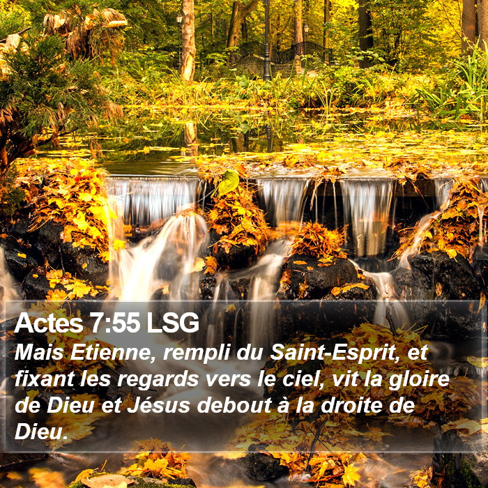 Actes 7:55 LSG Bible Study