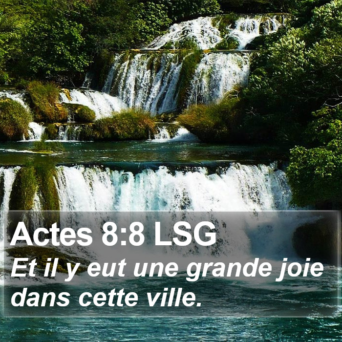 Actes 8:8 LSG Bible Study