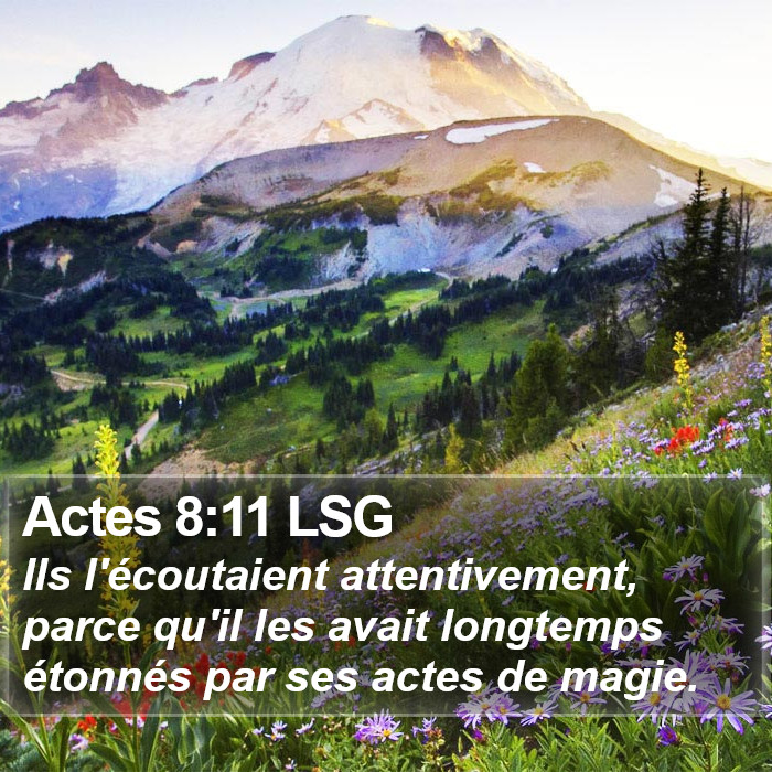 Actes 8:11 LSG Bible Study