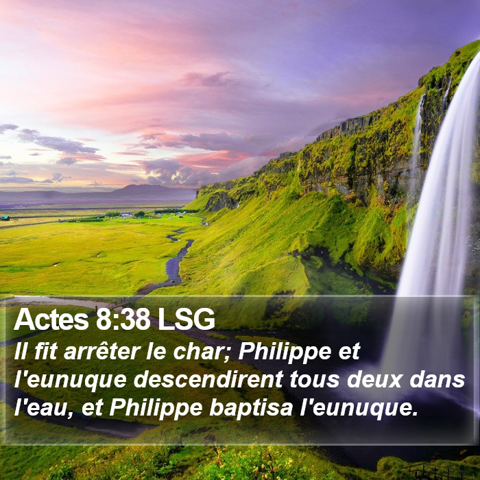 Actes 8:38 LSG Bible Study