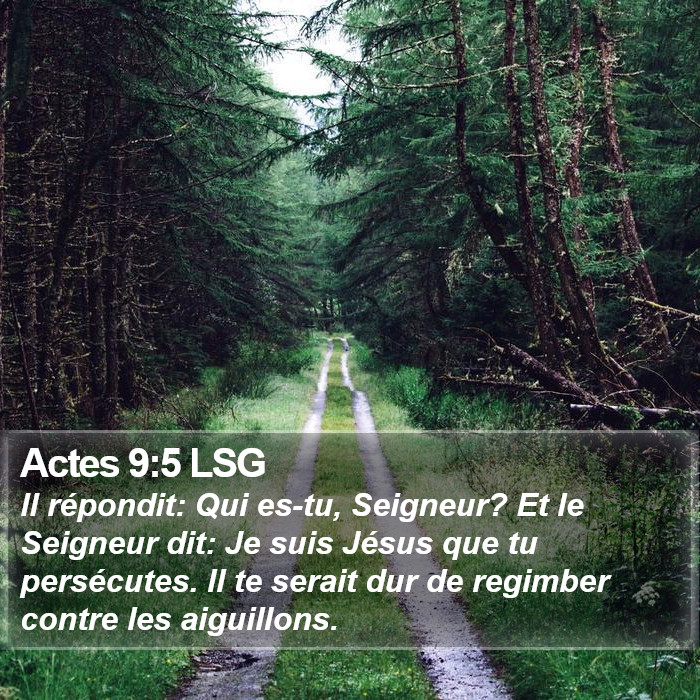 Actes 9:5 LSG Bible Study