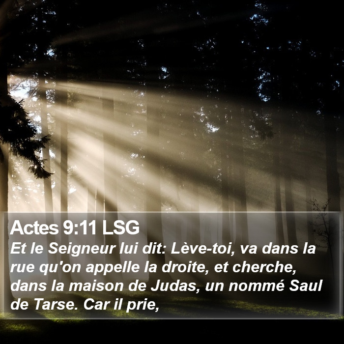 Actes 9:11 LSG Bible Study