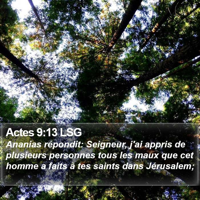 Actes 9:13 LSG Bible Study