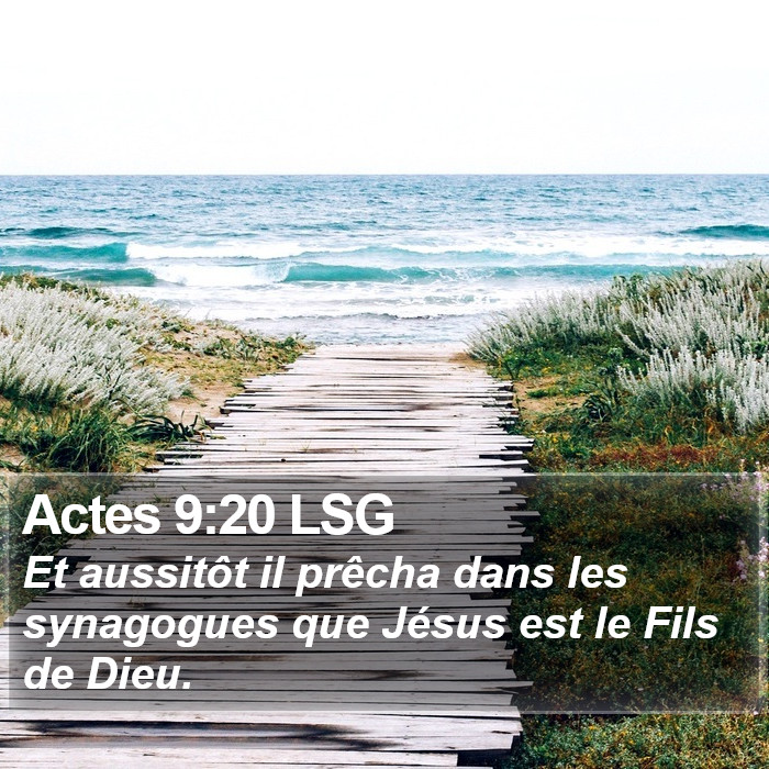 Actes 9:20 LSG Bible Study