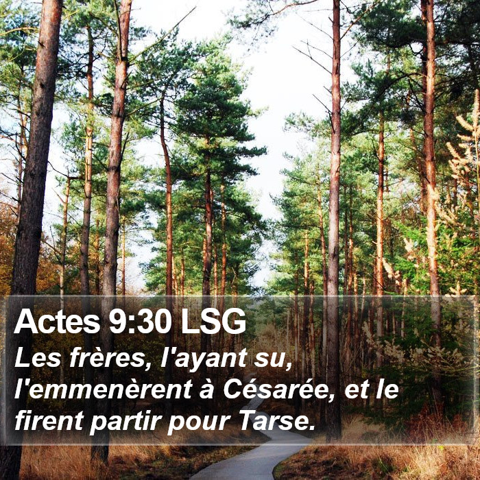 Actes 9:30 LSG Bible Study