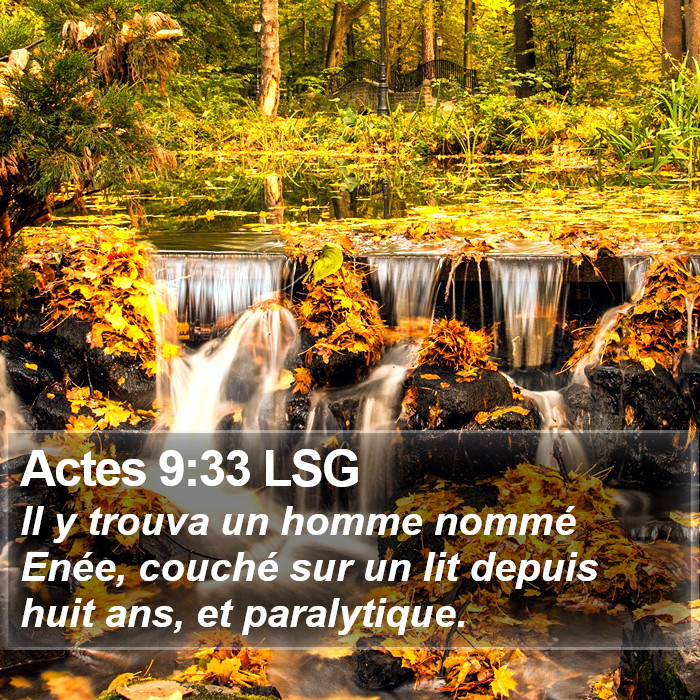 Actes 9:33 LSG Bible Study