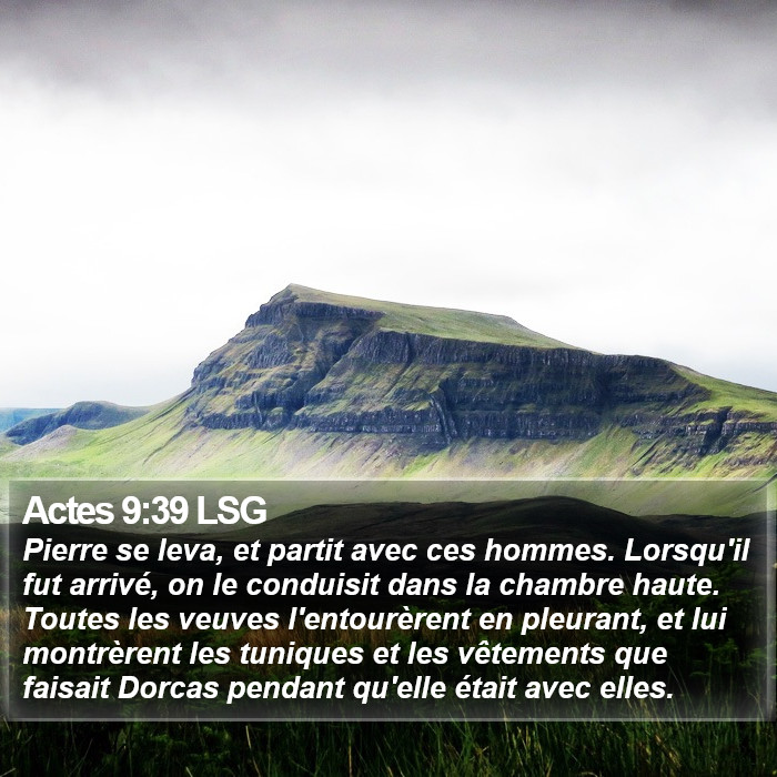 Actes 9:39 LSG Bible Study