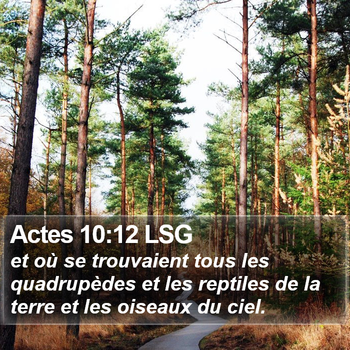 Actes 10:12 LSG Bible Study