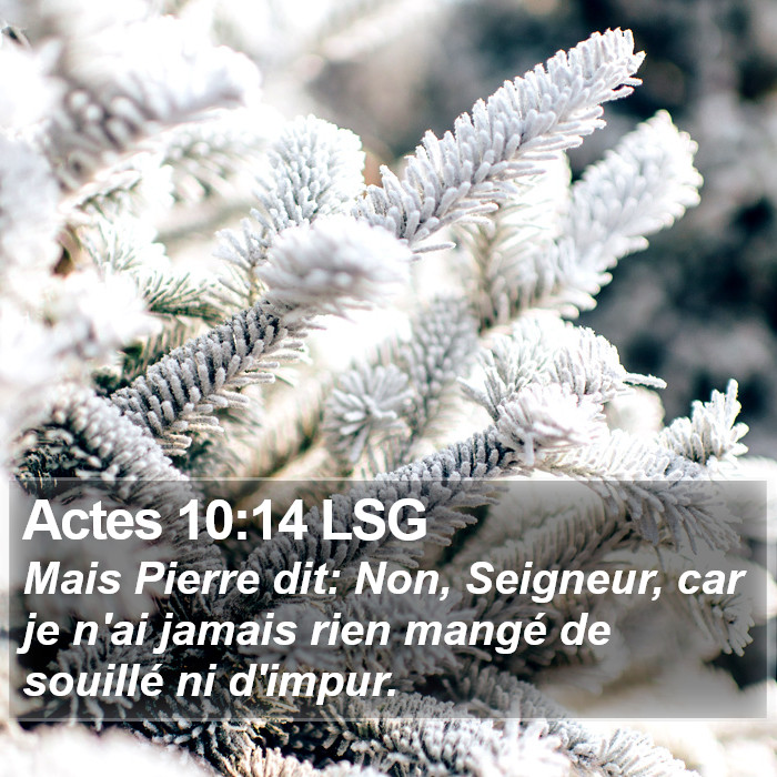 Actes 10:14 LSG Bible Study