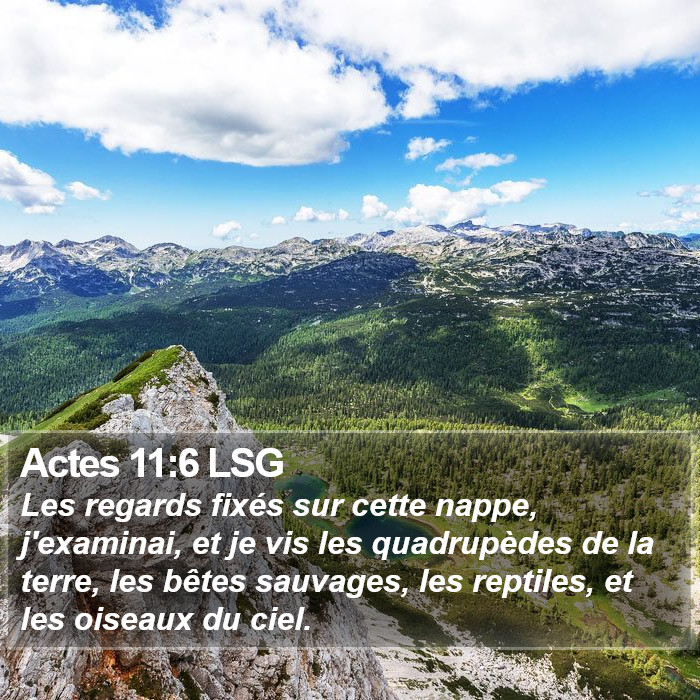 Actes 11:6 LSG Bible Study