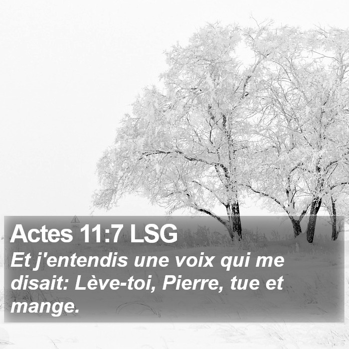 Actes 11:7 LSG Bible Study