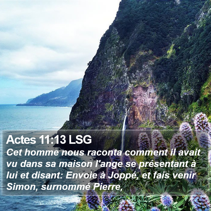 Actes 11:13 LSG Bible Study