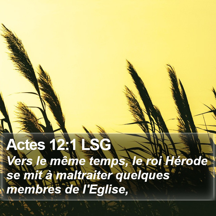 Actes 12:1 LSG Bible Study